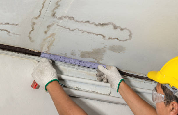 Reliable Mold Remediation contractor in Lakewood, IL by Water Damage Irwin